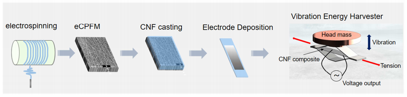 Compos. Sci. Technol.：静电纺丝CNF-PVA制备定向纤维素纳米纤维复合材料及其在振动能量收集中的应用