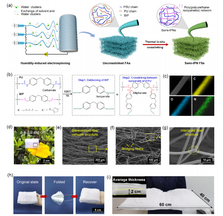 东华大学丁彬&张世超ACS Appl. Mater. Interfaces：基于半互穿聚合物网络构建超轻、机械坚固的保温纤维海绵