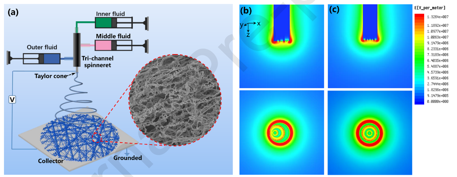 东华大学曾泳春Mater. Des.：三流体静电纺丝制备螺旋槽/中空纳米纤维