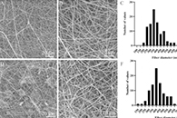 Nanomaterials：PVA-PL纳米纤维垫的制备及其血小板裂解液控释对角质形成细胞、内皮细胞和成纤维细胞的影响