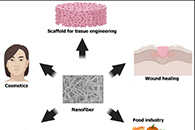 Int. J. Mol. Sci.：负载精油的聚合物纳米纤维在生物医学和食品包装行业中的应用前景