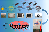 山东理工大学李蛟&中国海洋大学高学理Carbon：用于高效油水分离的柔性超疏水电纺碳纤维膜