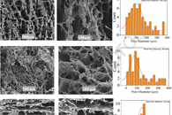 Carbohydr. Polym.：基于壳聚糖/海藻酸钠/纤维素纳米纤维的3D多孔生物吸附剂对阴离子染料的吸附性能