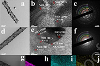 吉林大学孙彦峰&卢革宇Sens Actuators B Chem.：Sn掺杂NiO中空纳米纤维的制备及其作为三乙胺气体传感器的性能研究