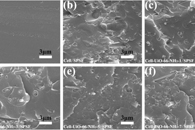 天津工业大学庄旭品&李振环Int. J. Hydrogen Energy：UiO-66-NH2功能化纤维素纳米纤维嵌入磺化聚砜中作为质子交换膜