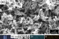Appl. Surf. Sci.：静电纺丝制备多孔氧化锌纳米纤维及其对亚甲基蓝染料的光催化降解性能