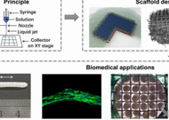 哈尔滨工业大学（深圳）吴洋Acta Biomater.：电流体动力学喷射3D打印的生物医学应用