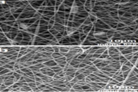 Colloids Surf. A Physicochem. Eng. Aspects：百里香精油负载PLA/GG杂化纳米纤维的制备及其物理力学性能