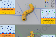 兰州大学谢二庆&王妍蓉J. Colloid Interface Sci.：基于PdO/NiO共掺杂In2O3纳米管的超高响应氢气传感器