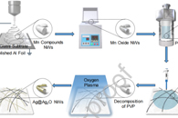 哈尔滨工业大学王晨曦J. Mater. Sci. Technol.：用于室温下去除甲醛的Ag@Ag2O-MnOx复合纳米线的制备