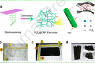 安徽大学郑方才&中国科学技术大学陈乾旺Chem. Eng. J.：V3S4@CNF柔性膜的构建及其在钠离子电池中的应用