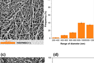 Nanomaterials：静电纺丝制备聚苯胺共混自支撑膜及其性能研究