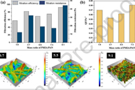 东华大学覃小红Colloids Surf. A Physicochem. Eng. Aspects：耐高温PMIA/PAN复合纳米纤维膜的制备及其在空气过滤中的应用