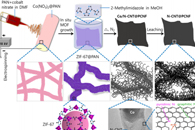 ACS Appl. Mater. Interfaces：Co/N-CNT@PCNF的制备及其在能量存储与转化中的应用