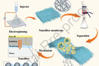 东华大学俞丹Colloids Surf. A Physicochem. Eng. Aspects：亲水性PVDF/PVP-TiO2纳米纤维膜的一步法制备及其油水分离和防污性能