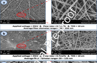 Int. J. Biol. Macromol.：CS/PVA-BG有机-无机纳米纤维复合材料的制备及其药物载体应用