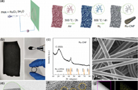 西安交通大学柳永宁ACS Appl. Mater. Interfaces：静电纺丝Ru-CNF可促进H2/CO2燃料电池中的CO2还原