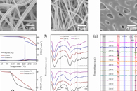 北京化工大学窦美玲&王峰Chem. Eur. J.：同时修饰单个Fe-Nx位点和Fe/Fe3C纳米颗粒的明胶衍生1-D碳纳米纤维网用作ORR电催化剂