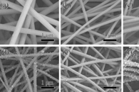 河南大学孙磊Colloid Interface Sci. Commun.：Ag@T-A@SiO2纳米纤维膜的制备及其作为SERS基底用于检测多种分析物