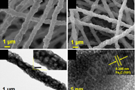 南京理工大学李健生J. Hazard. Mater.：MOFs衍生一维多孔Fe/NCNFs的制备及其催化性能研究