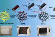 山东理工大学李蛟Carbon：柔性超疏水碳纳米纤维膜的静电纺丝制备及其在油水分离中的应用