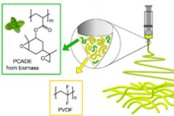 Polymers：基于可再生萜烯的功能化富环氧电纺丝纤维及其多种用途