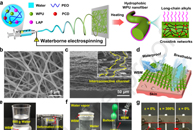 东华大学丁彬&张世超J. Colloid Interface Sci.：水性静电纺丝构建无氟防水透气纳米纤维膜及其在防护性纺织品中的应用