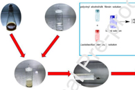 东南大学康学军Innov. Food Sci. Emerg. Technol.：静电纺丝制备耐受胃液胁迫的PVA/SF/植物乳杆菌纳米纤维