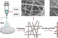 桂林理工大学王恒&曾亚萍J. Alloys Compd.：Sb2S3纳米粒子锚定在N掺杂3D碳纳米纤维上作为钠离子电池负极材料