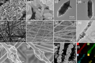 东华大学黄满红Chem. Eng. J.：NH2-MIL-101（Fe）/CNF@AuNPs适体传感器的制备及其在四环素检测中的应用
