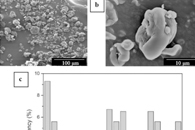 Polymers：电纺纤维基乙烯-乙烯醇共聚物薄膜的制备与表征及其在食品包装中的应用