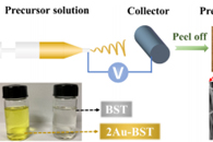 浙江大学张启龙ACS Appl. Energy Mater.：Au-BST NF/PVTC复合材料的制备及其储能性能研究