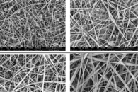 Nanomaterials：含聚二乙炔的纤维素纳米纤维复合材料的制备、表征及其对有机磷化合物的比色传感检测