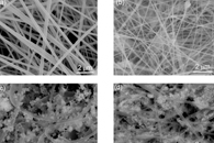 Catalysts：MWCNTs-Fe3O4@PES纳米纤维的构建及其可见光光降解Cr（VI）的性能