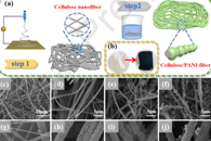 南京航空航天大学姬广斌J. Colloid Interface Sci.：纤维素/聚苯胺多孔膜的制备及其在微波屏蔽与吸收材料中的应用