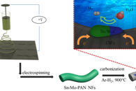 燕山大学王静&焦体峰Appl. Surf. Sci.：Sn/Mo2C-CNFs的构建及其作为高性能析氢反应电催化剂的应用