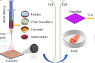 福建农林大学庞杰&吴春华Int. J. Biol. Macromol.：PCN/CR/ATH电纺纳米纤维的制备与表征及其在活性智能食品包装中的应用