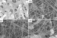 Mater. Chem. Phys.：β-磷酸三钙/胶原纳米纤维仿生复合支架的制备及抗菌评估