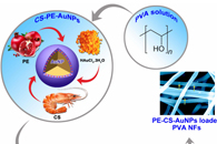 Int. J. Nanomed.：PE-CS-Au NPs负载PVA NFs的合成、表征及其生物相容性和抗菌性评估