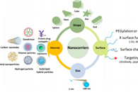 Nanomaterials：利用静电纺丝工艺封装药物和营养制剂活性成分