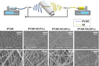 J. Tissue Eng. Regen. Med.：PVDF/SF基生物压电纳米纤维支架的制备及其生物相容性和力学性能研究