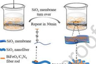 中国地质大学吕凤柱Colloids Surf. A Physicochem. Eng. Aspects：BiFeO3/C3N4短棒负载独立式电纺丝SiO2膜的光催化性能