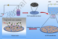 西北师范大学李健Colloids Surf. A Physicochem. Eng. Aspects：凹凸棒石纳米纤维膜的简便制备及其在高粘度水包油乳液分离中的应用