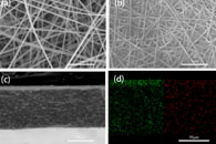 大连理工大学郑文姬&贺高红J. Membr. Sci.：PEO/PAN NFCMs的制备及其CO2分离性能