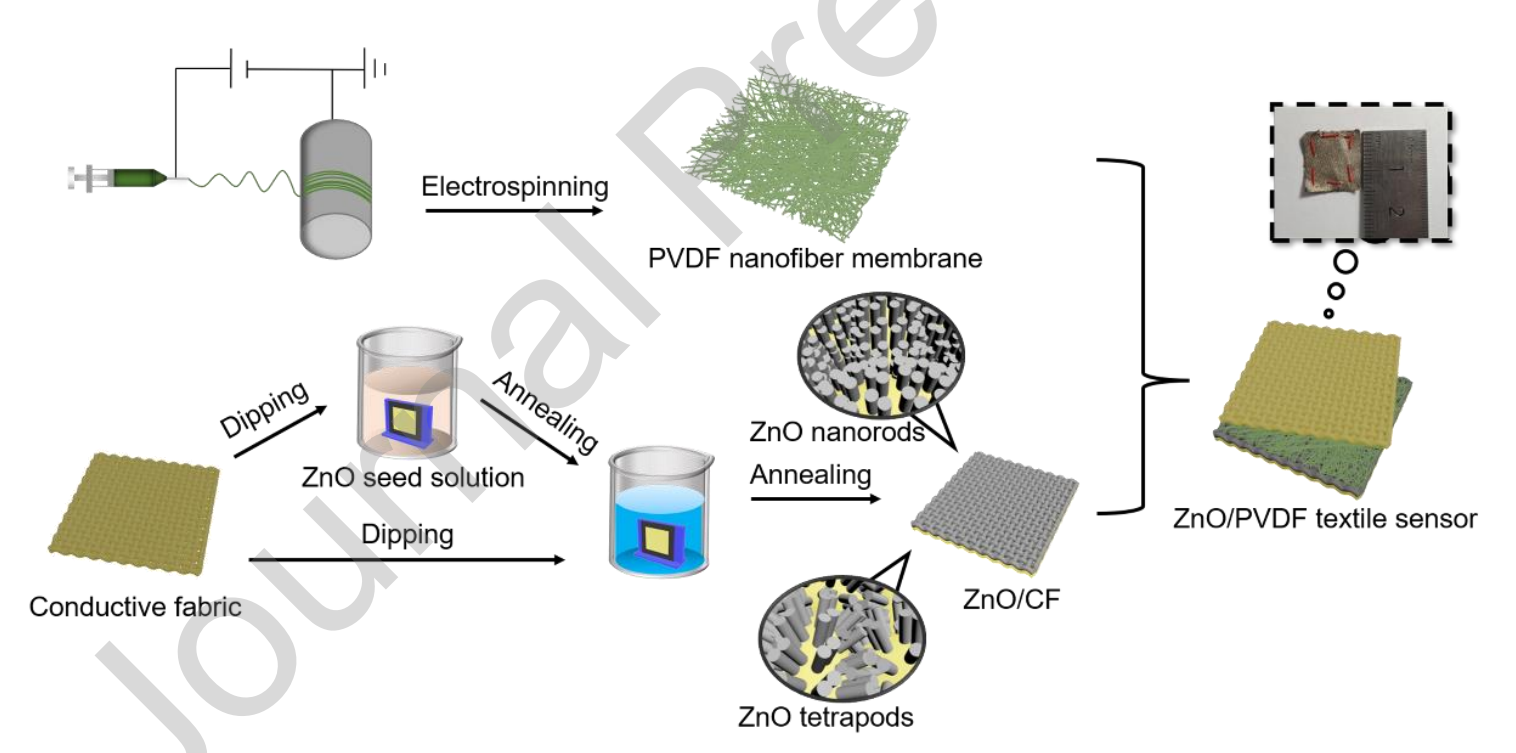 东华大学俞丹：基于PVDF/ZnO分层结构的高灵敏度防水透气纺织压力传感器