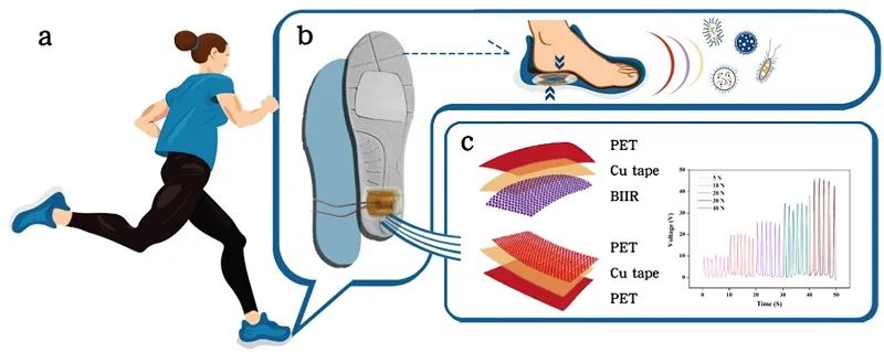 中国地质大学郝向阳教授Nano Energy：抗菌摩擦电纳米发电机用于可穿戴电传感器