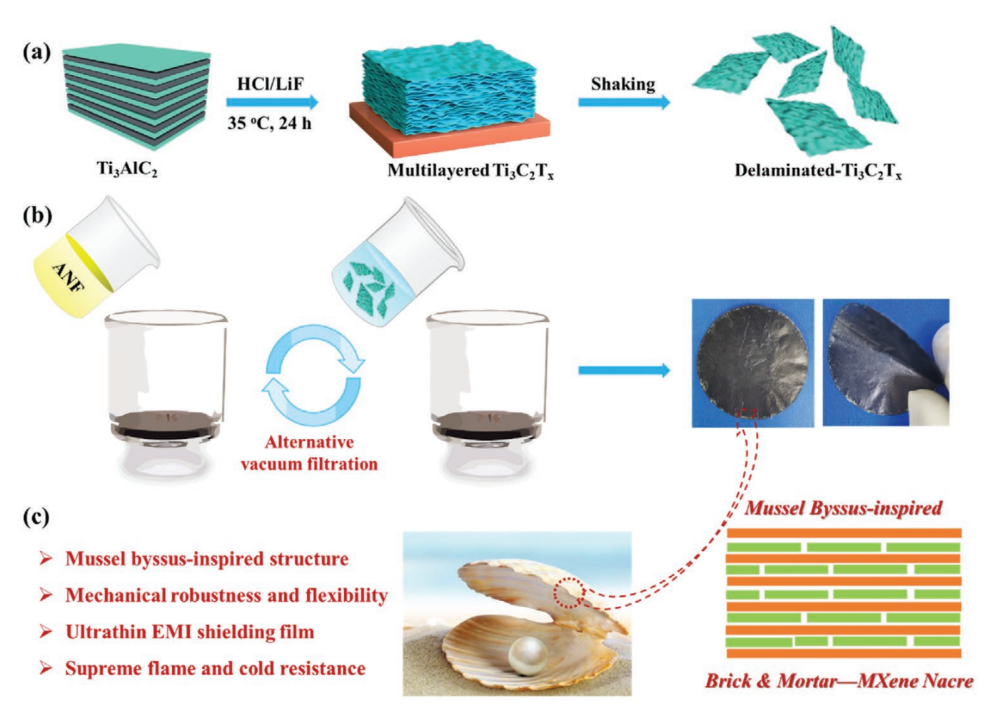 中国科学技术大学汪碧波&胡源：贻贝足丝仿生结构MXene@ANF纳米纤维材料的制备及其EMI屏蔽性能