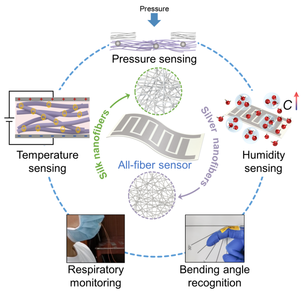 Adv. Fiber Mater. 发表电子科技大学张晓升教授团队成果—电纺蚕丝纤维基传感器：小身材，大用处