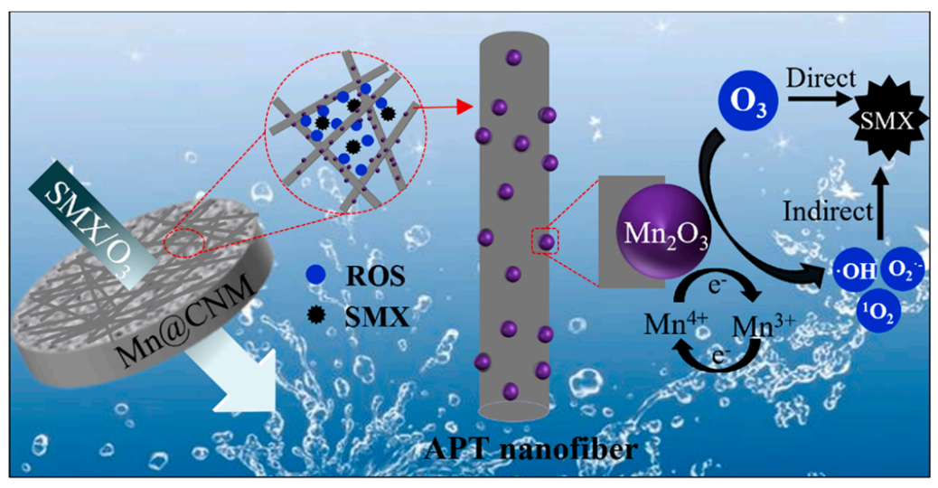 清华大学深圳国际研究生院张锡辉：Mn2O3纳米粒子锚定陶瓷纳米纤维膜的制备及其催化臭氧氧化水中磺胺甲恶唑的效能