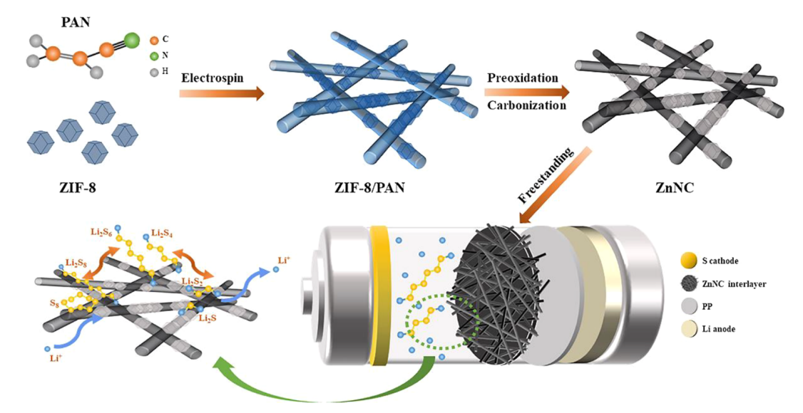 中国科学院近代物理研究所贺德衍：锌氮共掺杂碳纳米纤维的制备及其作为锂硫电池中间层的应用